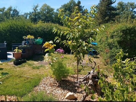 Natur & Erholung: Ihr charmantes Ferienhaus erwartet Sie