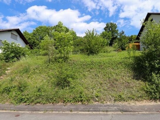 Baulücke in Südhanglage mit unverbaubarem Ausblick