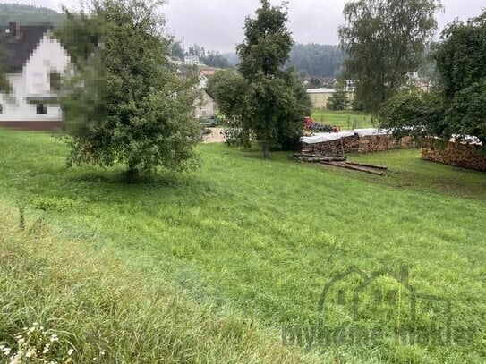 neuen Baugrundstück für Ihr neues Haus in Weigendorf