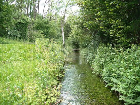 GROSSES HAUS MIT BACHLAUF UND EXTRA WEIHER