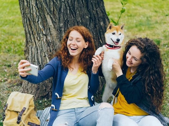 !! Sofort Frei!! Einfamilienhaus viel Platz für Familie mit Kindern & Hund