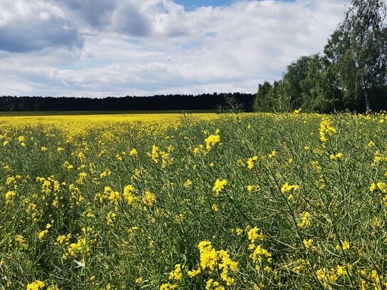 TOP - Doppelhaushälfte, Ihr Wohlfühl - Paradies