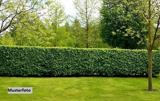 Grundstück mit altem Gartenhaus und Carport + provisionsfrei +