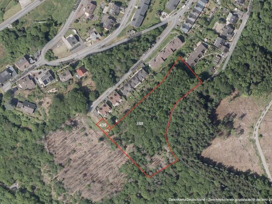 1 ha Waldfläche mit möglichem Baupotential in Altena