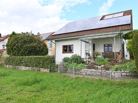 Traumhaftes Einfamilienhaus in Breisach-Niederrimsingen mit atemberaubendem Ausblick