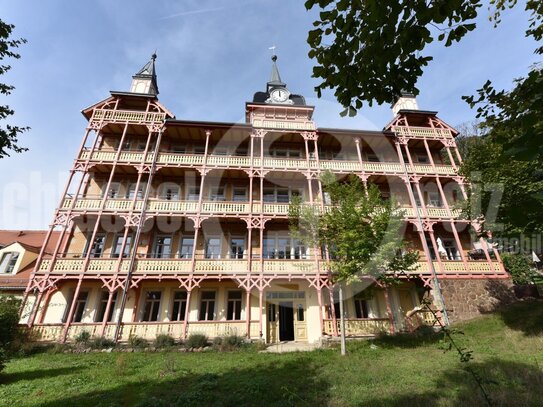 *400 m² eigener Garten - Luxus-Schloss mit Fernblick inmitten der Weinberge von Oberlößnitz* Altbau l Stuckdecken l Kam…