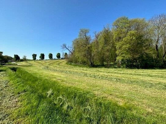 +++ Baugrundstück, Wiesengrundstück und Waldgrundstück im Paket in 06618 Schmerdorf zu verkaufen +++