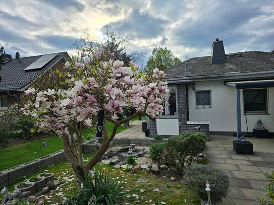 Großzügiges Grundstück mit Bungalow im Herzen von Steglitz/ Zehlendorf
