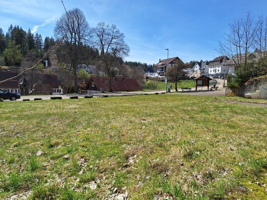 **Ebenes Baugrundstück mit verwildertem Gartenparadies**