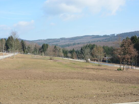 ** Traumhaft schönes Bauland im Taunus mit Baureife ** 2.000 qm gesamt oder auch 4 x ca. 500 qm ( inkl. 1 x ca. 3.000 q…