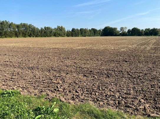 Delbrück: Knapp 6 ha Ackerland in Hagen zu verkaufen! #richimmo