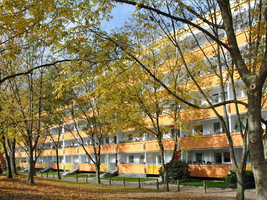 Wohnvergnügen verteilt auf 3 Zimmer