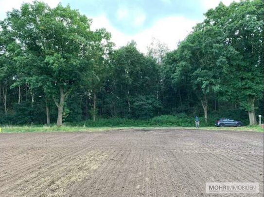 Idyllisches Grundstück am Waldrand - perfekt für den Bau Ihrer Traumimmobilie in ruhiger Natur!