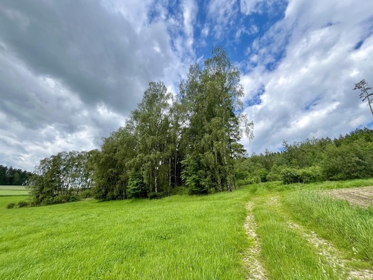 Landwirtschaftliches Objekt in Waidhaus