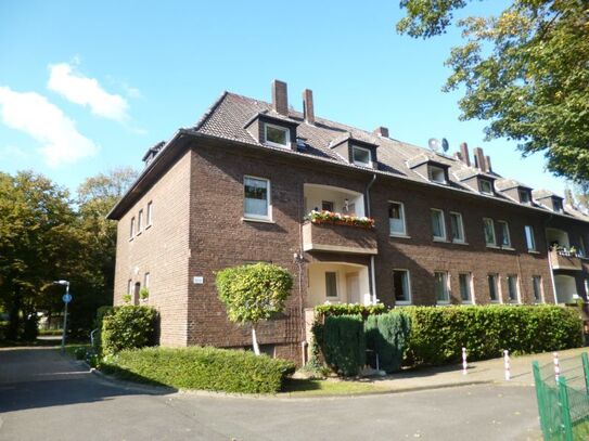 Modernisierte Altbauwohnung mit Naturholzdielen