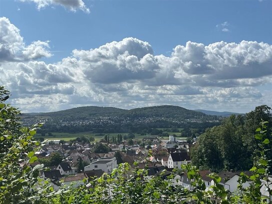 ***frische renovierte 3 ZBK Maisonettewohnung