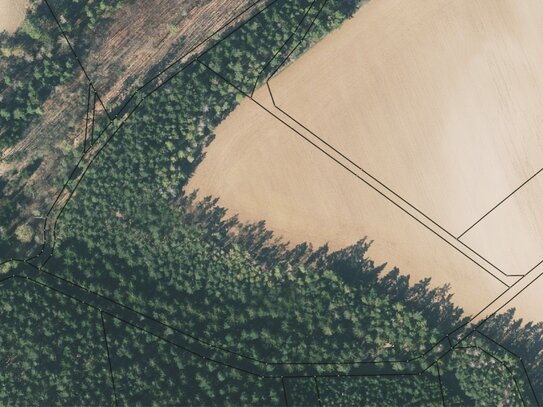 Verkaufe 3,07 ha Acker & Wald in 07407 Teichel (SLF) Thüringen