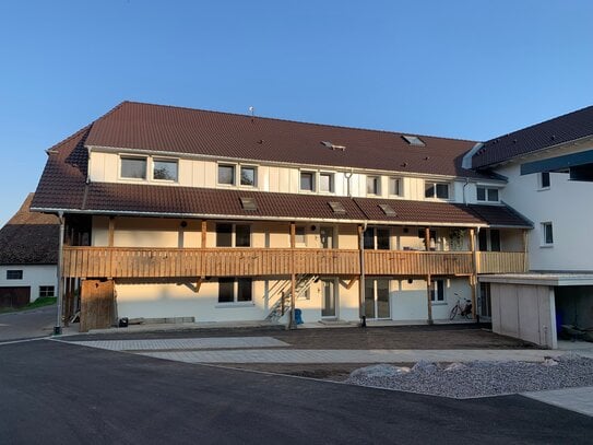 Erstbezug nach Sanierung in Albbruck-Kiesenbach - 2 Zimmer mit EBK im EG