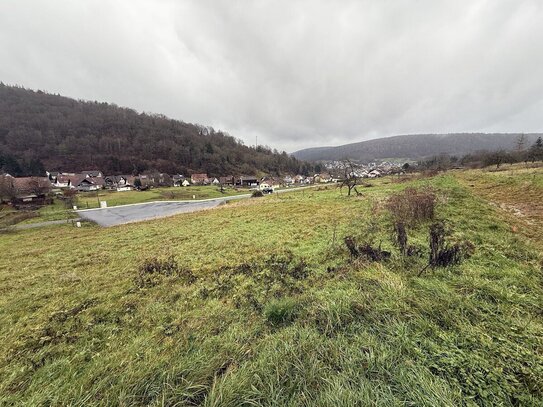 Traumhafte, naturnahe Lage! Baugrundstück in Neustadt a. Main