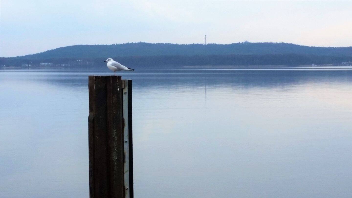 IHR ZAUBERHAFTES DOMIZIL MIT WUNDERBAREM GRÜNBLICK IN HIRSCHGARTEN+EINBAUKÜCHE+FAHRSTUHL+FUSSBODENHEIZUNG+KAMMER!*** - Foto 1