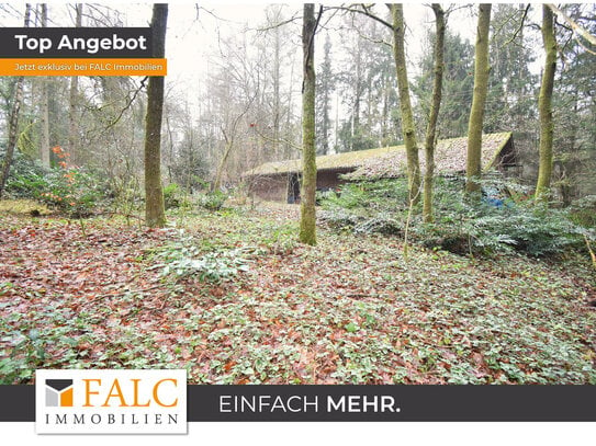 Waldgrundstück für ein Wochenendhaus!