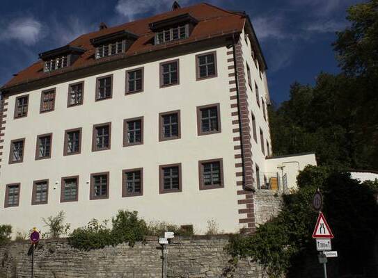 Schöne, geräumige zwei Zimmer Wohnung in Freudenstadt (Kreis), Horb am Neckar, Mühlen