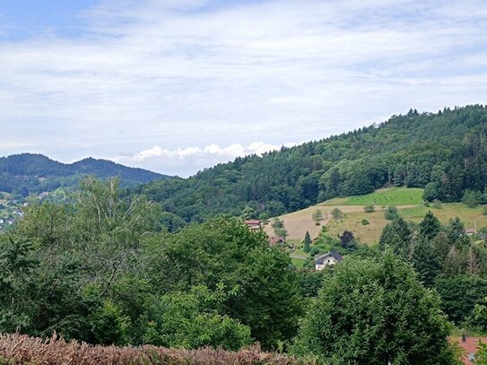 Eine 2-Zi EG Wohnung, Erstbezug nach Renovierung, voll möbliert, in Bühlertal zu vermieten