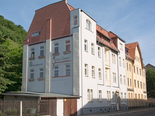 Hübsche kleine Wohnung am grünen Rand von Meißen