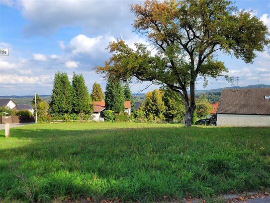 Großes Grundstück in Großerlach zu verkaufen!