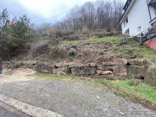 Das attraktive Grundstück mit Blick auf das Schloss in Hanglage wird verkauft.