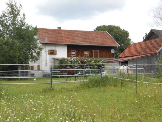 Idyllisches Bauernhaus mit Nebengebäude und angrenzendem Weideland - für Tierhaltung geeignet