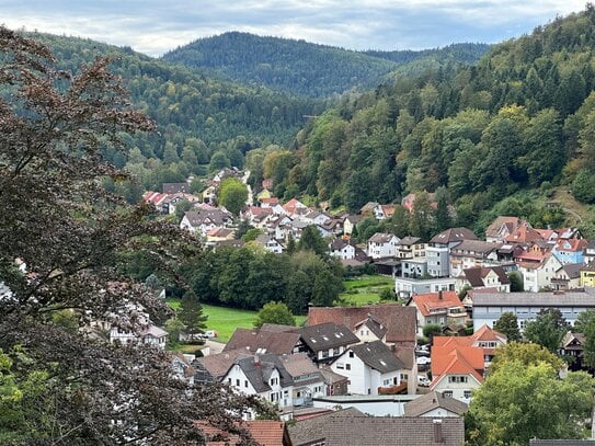 * aller guten Dinge sind zwei* Doppelapartment mit traumhafte Aussicht über Bad Herrenalb