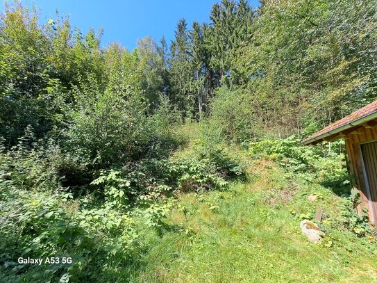 Traumhaft idyllisches Waldgrundstück