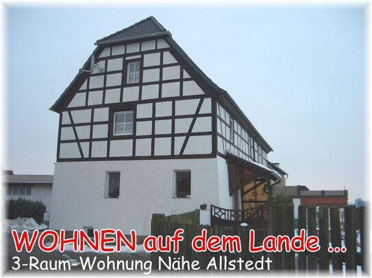 WOHNEN auf dem LANDE ... 2-/3-Raum-Wohnung Nähe Allstedt