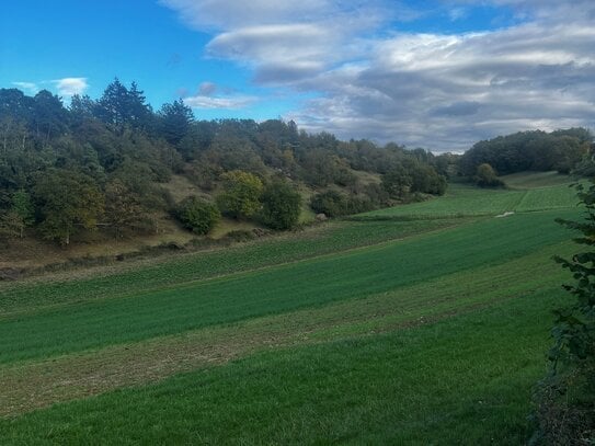 LANDWIRTSCHAFTLICHE FLÄCHE IN GUTER LAGE VON EBERDINGEN