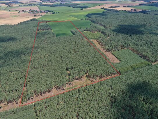 36,7 ha Grundbesitz in einem Flurstück bei Rohrberg