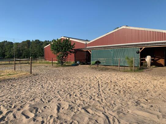 Reiteridyll, neuwertiges Wohnhaus mit Pferdestall und Bewegungshalle auf ca. 30.000 m² Grundstück