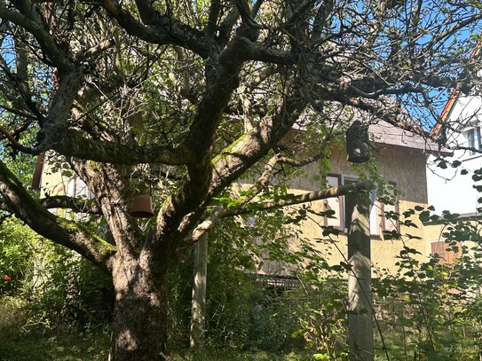 freistehendes Einfamilienhaus in Südlage mit herrlichem Fernblick