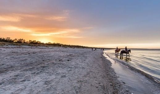 Baugrundstück erschlossen nur ca 200 m zur Ostsee SOFORT BEBAUBAR keine Courtage TOP ANGEBOT ! Zinsen werden gesenkt !