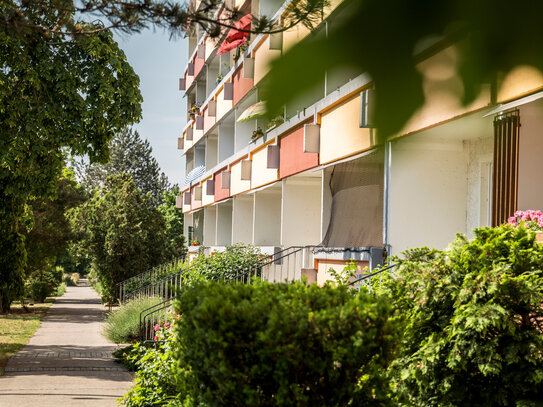 Attraktive 2-Raumwohnung mit großer Wohnküche in ruhiger Wohngegend ab sofort zu vermieten