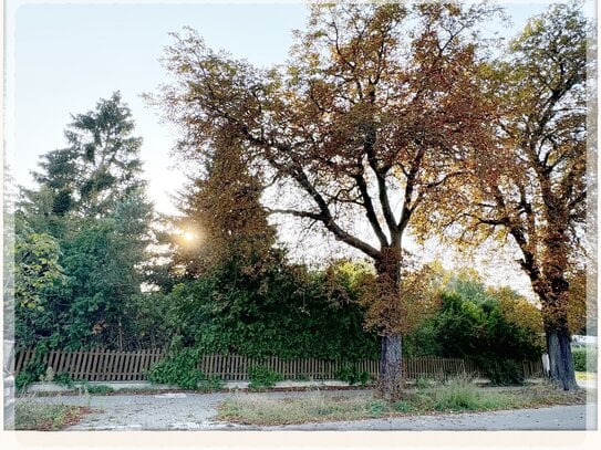 Attraktives Baugrundstück in Mühlenbeck