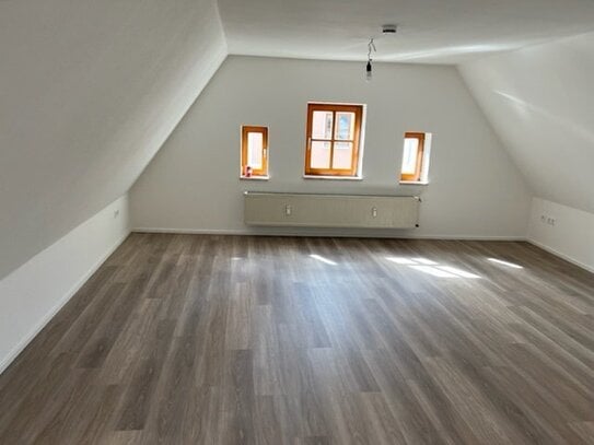 Neu renovierte 2-Zi.-Wohnung sucht einen Mieter