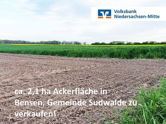 Ackerfläche in Bensen, Gemeinde Sudwalde zu verkaufen