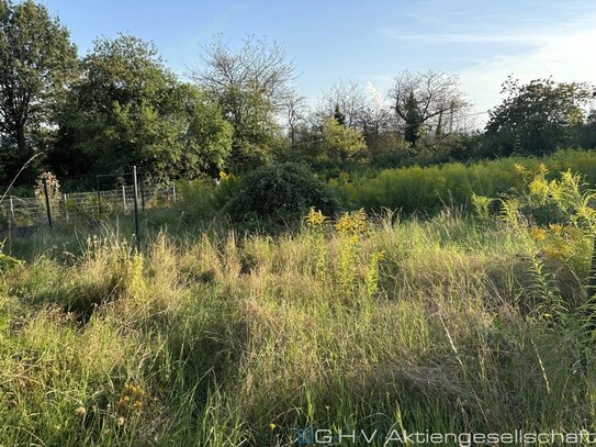 Bauplatz in ruhiger Lage mit nach Süden ausgerichtetem Garten