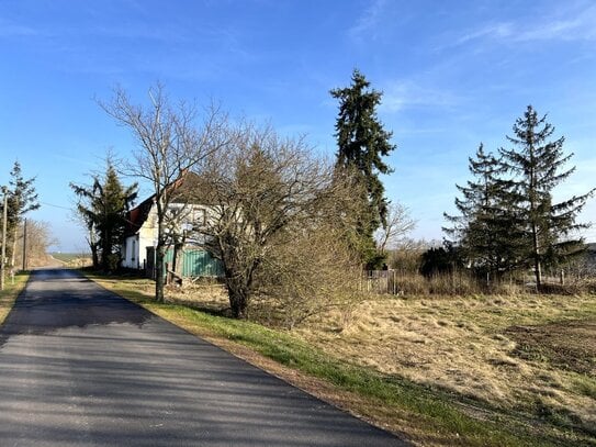 Einfamilienhaus am Ortsrand von Dieskau inkl. ca. 1330m² Grundstück