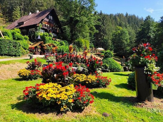 Historisches Jagd- und Forsthaus im Stile eines Schwarzwaldhofes, mit großem Park direkt am Hochwald