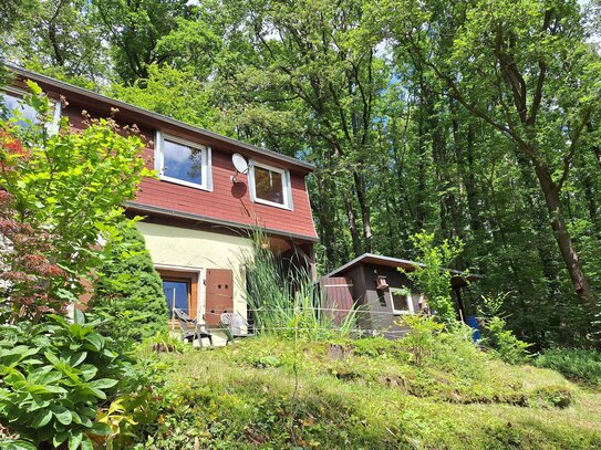 Bewaldetes Freizeitgrundstück mit Entspannungsgarantie in Crossen an der Elster!