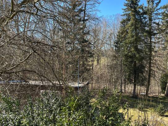 Großes Einfamilienhaus in ruhiger Lage