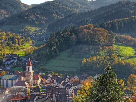 Baugrundstück für Ihr Traumhaus mit toller Aussichtslage !