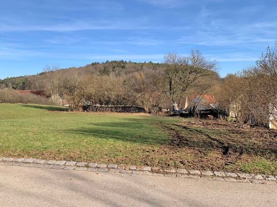 landwirtschaftliche Fläche / Wiese in Spalt-Enderndorf